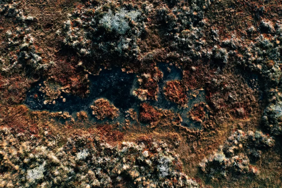 geio-tischler-zqsgD8FIoYw-unsplash