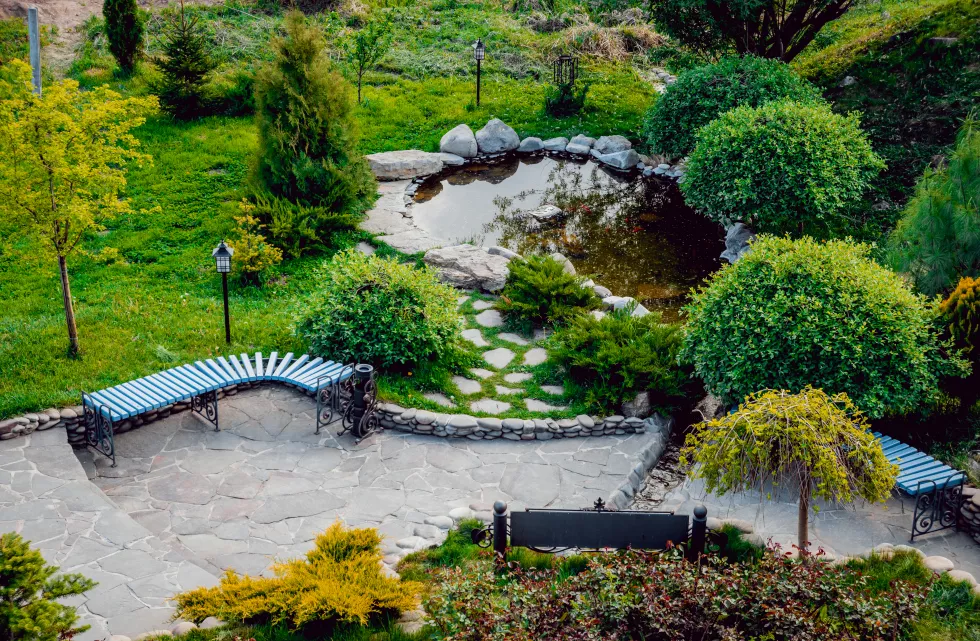 park-full-vegetation