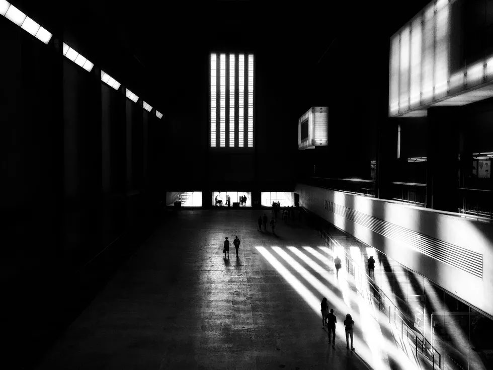 massimo-virgilio-5OiDETiIsbg-unsplash