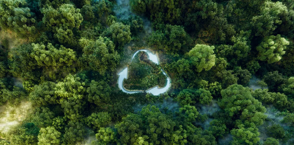 symbolic-emblem-ecopush-recycling-reusing-depicted-as-pond-with-recycle-sign-amid-pristine-forest-backdrop-3d-rendering