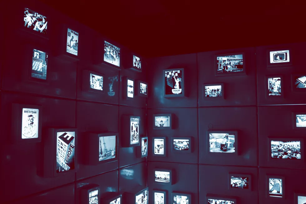 gnider-tam-ge_ftrk7wDc-unsplash(2)