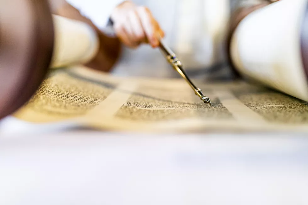 midsection-person-reading-holy-book