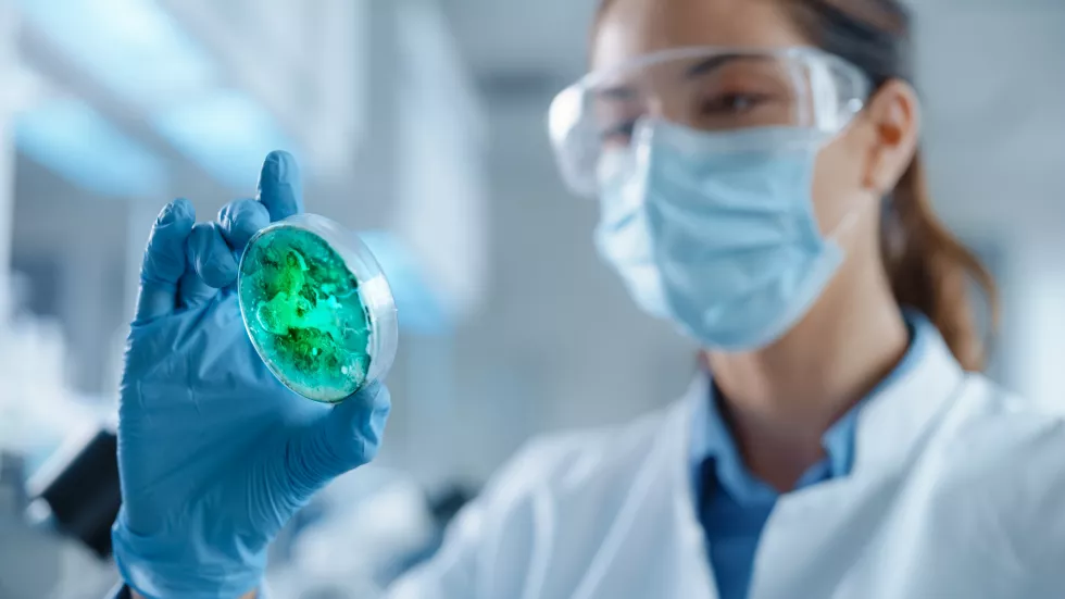 beautiful-female-scientist-wearing-face-mask-glasses-looking-petri-dish-with-genetically-modified-sample-chemicals-microbiologist-working-modern-laboratory-with-technological-equipment