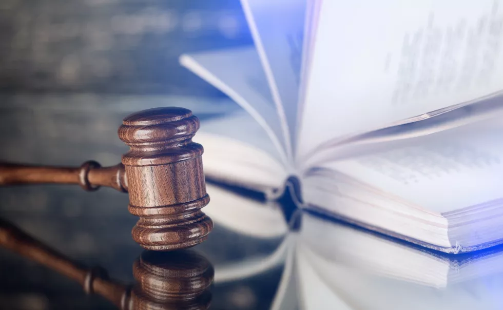 legislation-law-procedure-making-laws-book-laws-concept-adoption-law