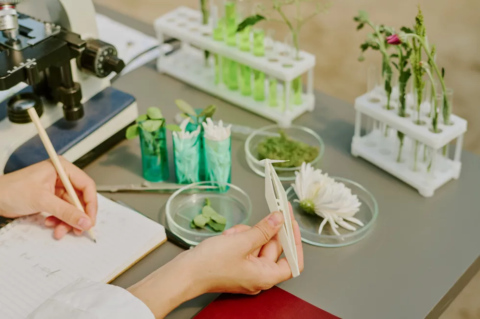 examining-botanical-samples-laboratory-setting