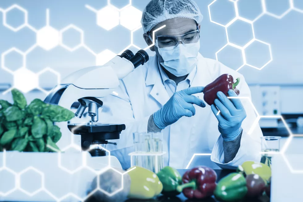 Technologia żywności i żywienie człowieka4