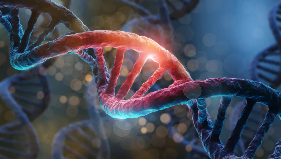 dna-helix-structure-closeup