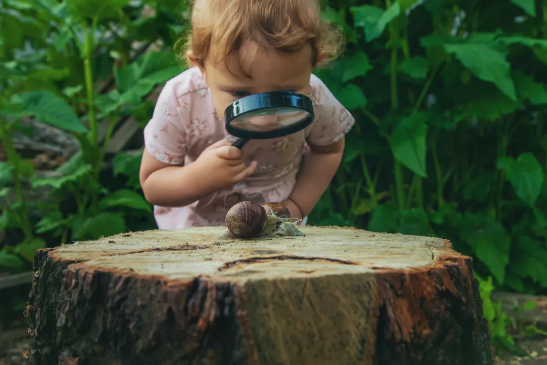 child-examines-snails-tree-selective-focus