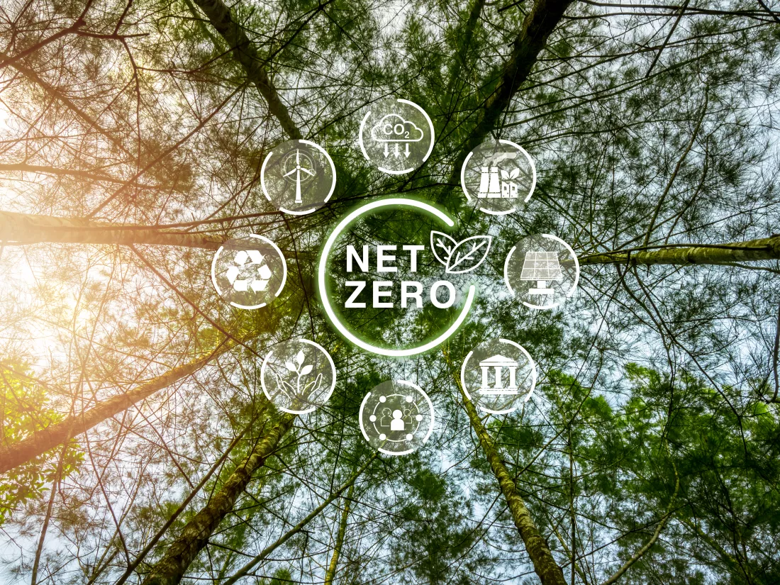 reduce-co2-emissions-limit-climate-change-net-zero-carbon-dioxide-reduction-concepts-net-zero-icon-surrounded-with-renewable-energy-symbol-circular-tall-trees-forest-background-bottom-view
