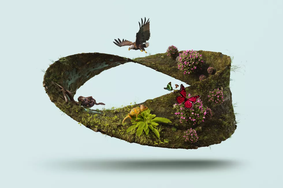 loop-nature-concept-collage