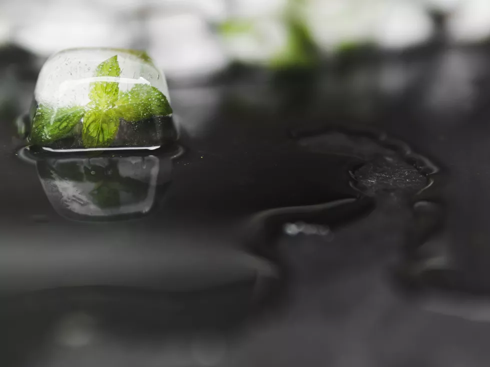 leaves-ice-block-near-water