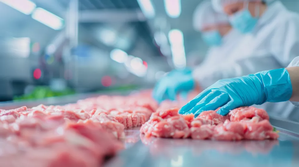 Kształtowanie jakości produktów zwierzęcych