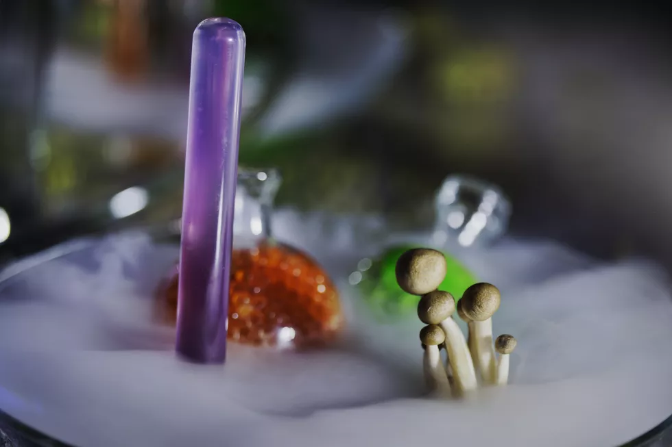Biologia eksperymentalna i mikrobiologia