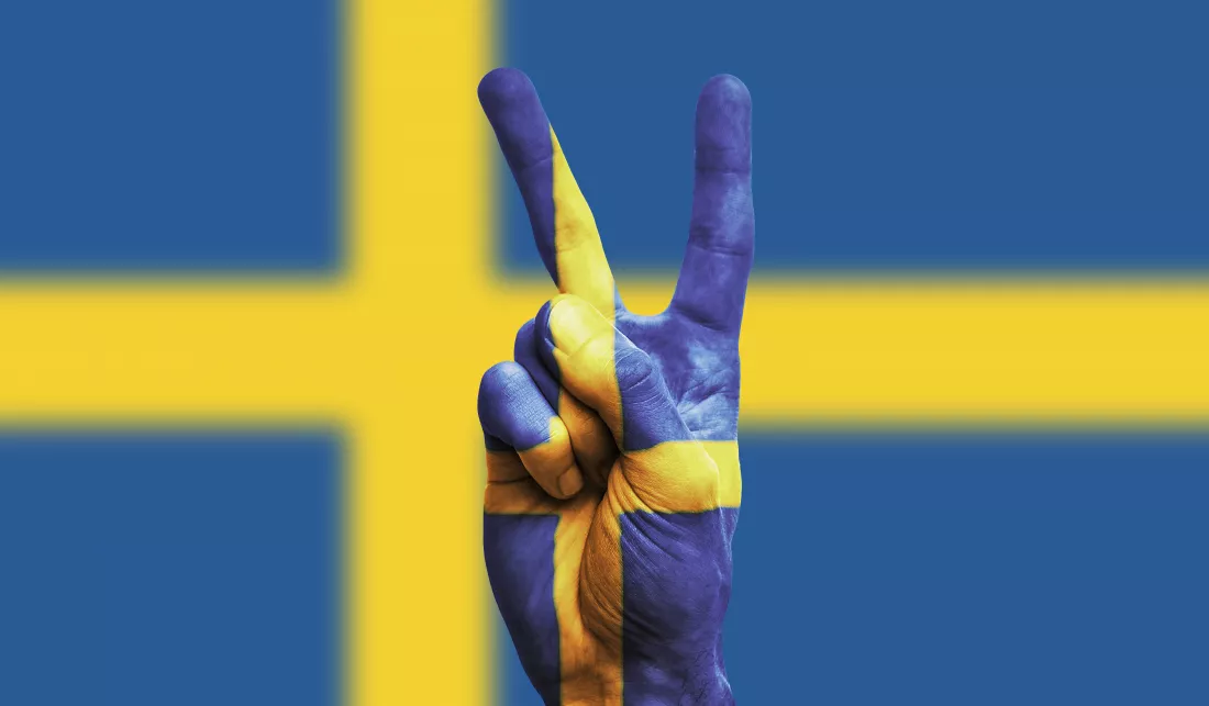 sweden-flag-vintage-leather-suitcase