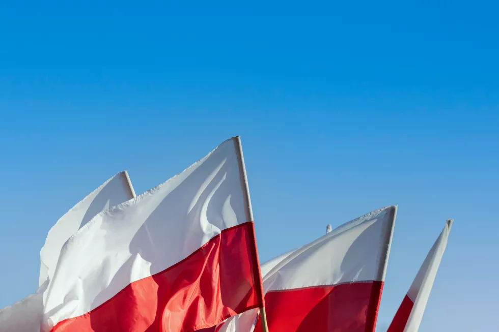 Nauczanie języka polskiego jako obcegov
