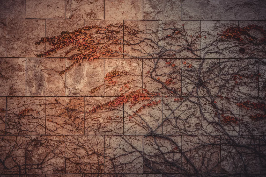 tommaso-teloni-LXSOa2kPB6I-unsplash