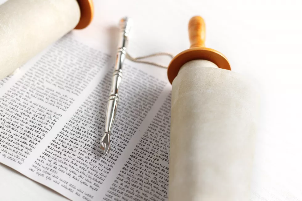 torah-scroll-with-pointer-light-background