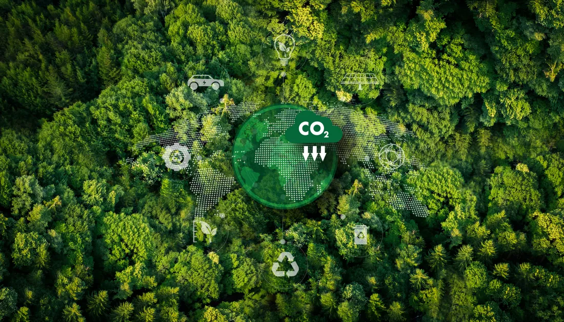 representing-ecofriendly-transport-leafy-green-plant-with-co2-cloud-top