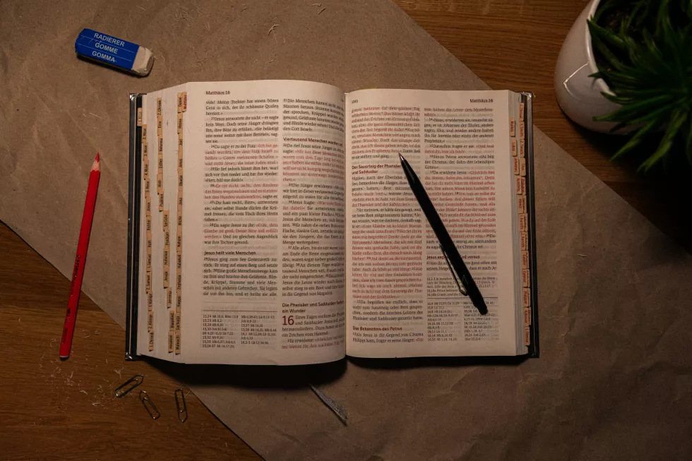 tim-kuhn-e30Q9L4JUfg-unsplash