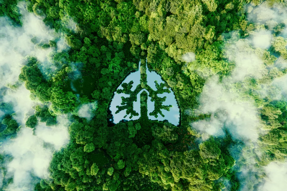 Ochrona klimatu i zarządzanie jakością powietrzav