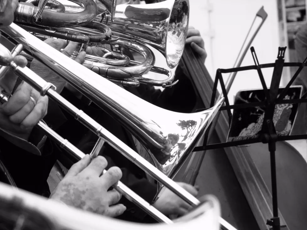 vWykonawstwo instrumentalne