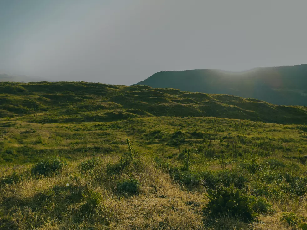 furkanvari-qpgqJwnH_i4-unsplash