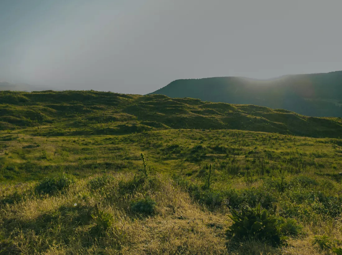 furkanvari-qpgqJwnH_i4-unsplash