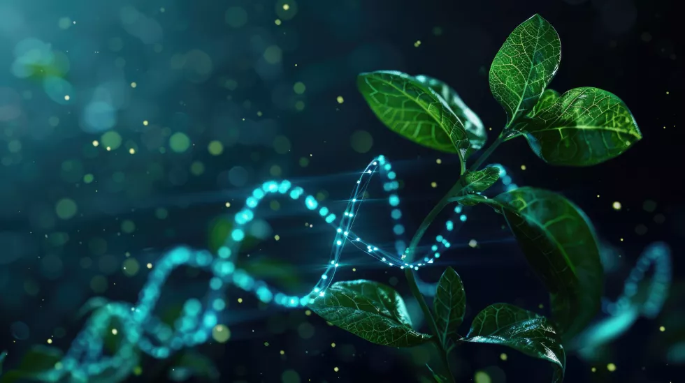glowing-plant-green-genetics-concept