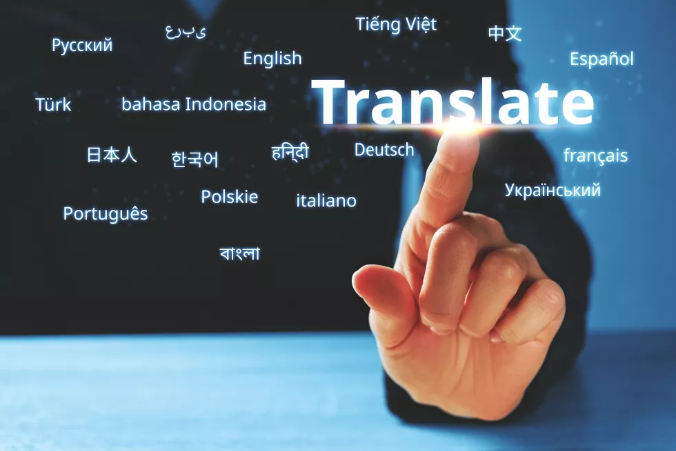 Moduł translatorskifr