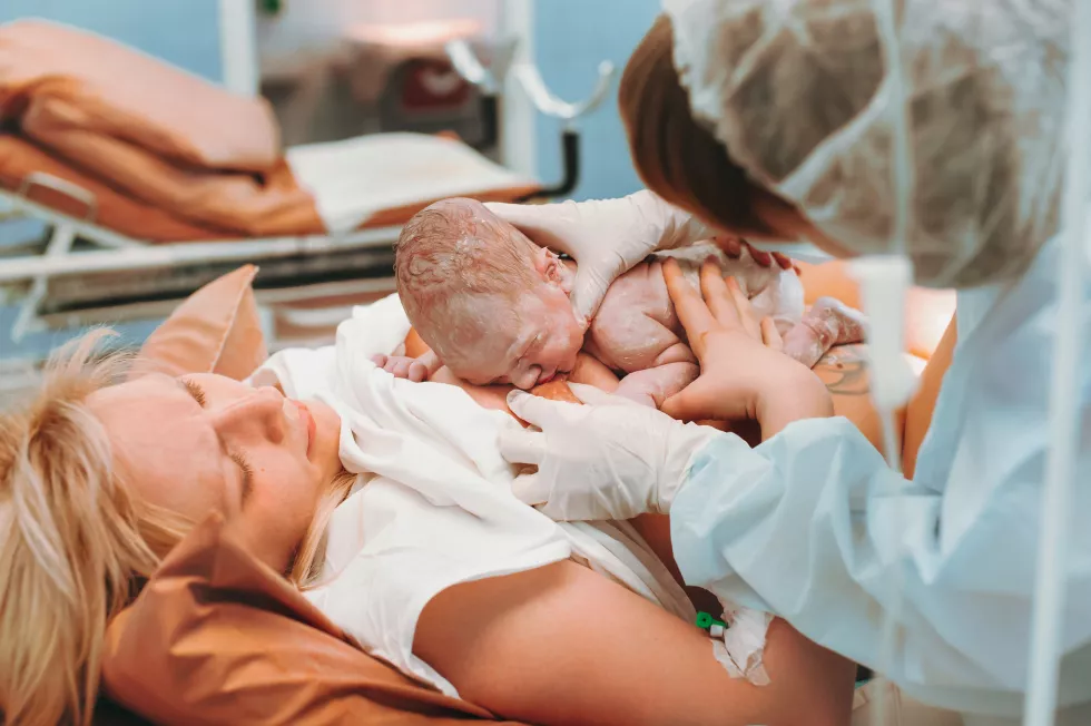 close-up-newborn-feeding-mother-s-sternum-maternity-ward-hospital-immediately-after-birth