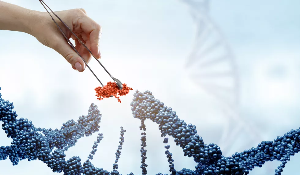 Biologia środowiskowa i molekularnar
