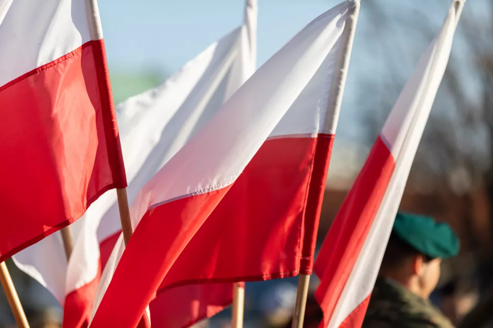 Nauczanie języka polskiego jako obcegodew