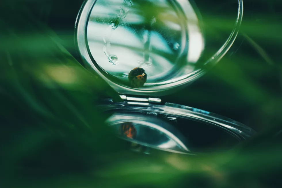 pocket-mirror-with-ladybug-grass(1)