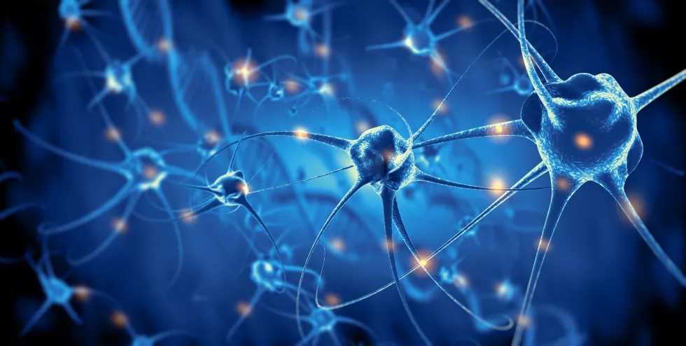 active-nerve-cells