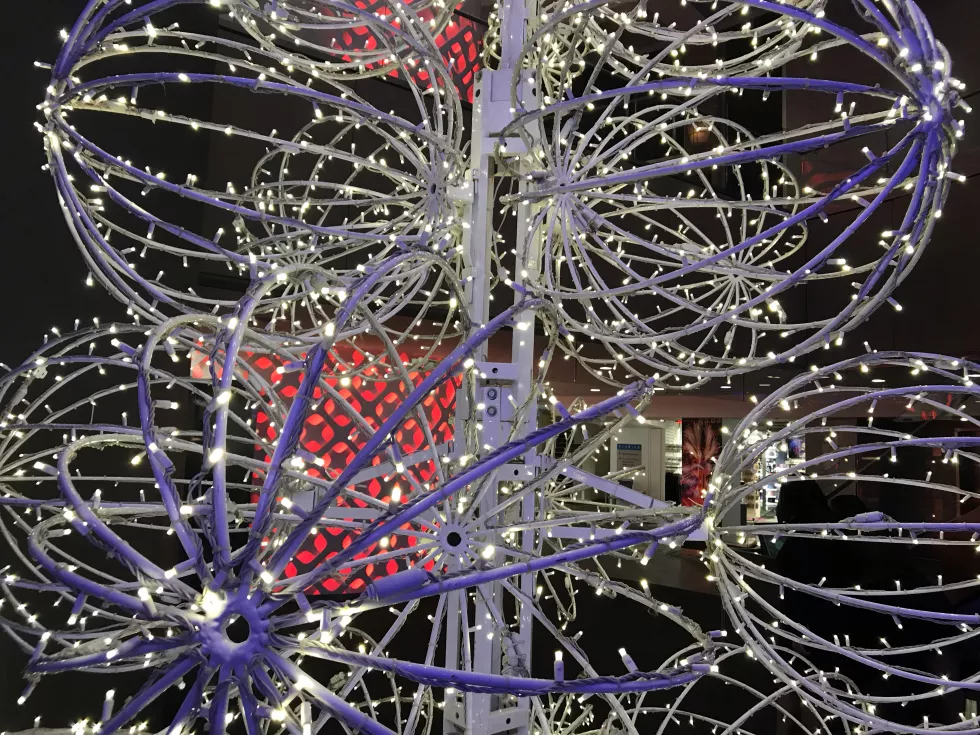 low-angle-view-illuminated-decoration-night