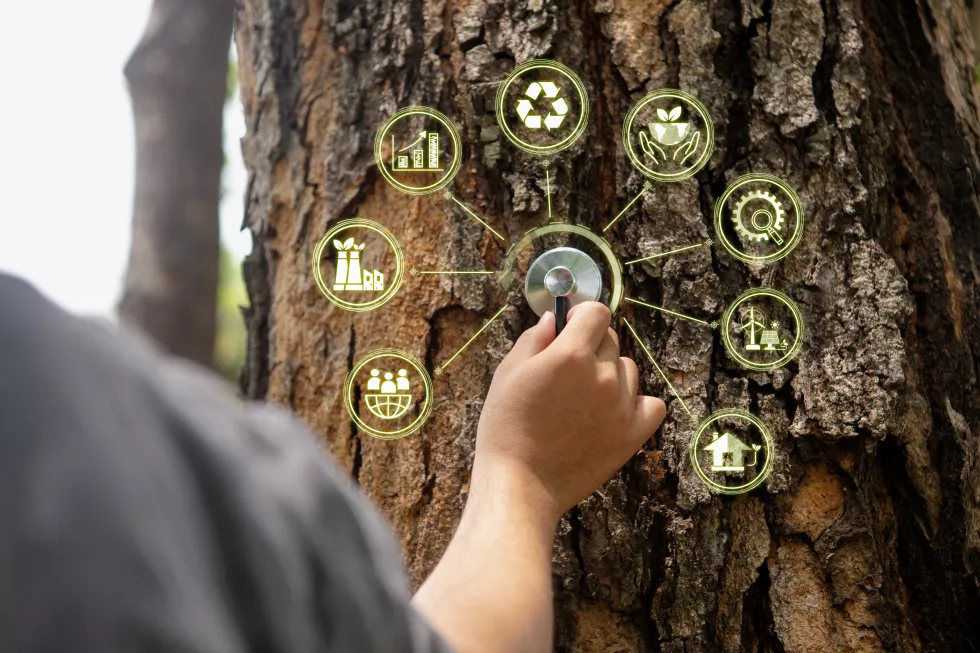 take-care-tree-health-net-zero-carbon-neutral-greenhouse-gas-emissions-zero-co2-longterm-strategy-goals-circular-economy-renewable-energy-grow-sustainable-business-improve-environment
