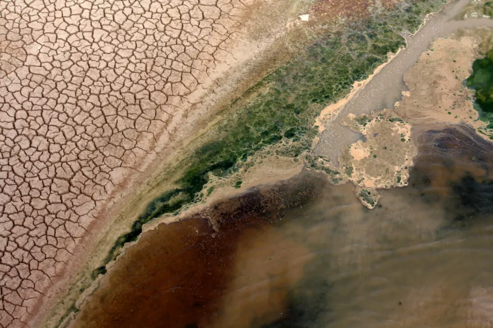 full-frame-shot-water-land