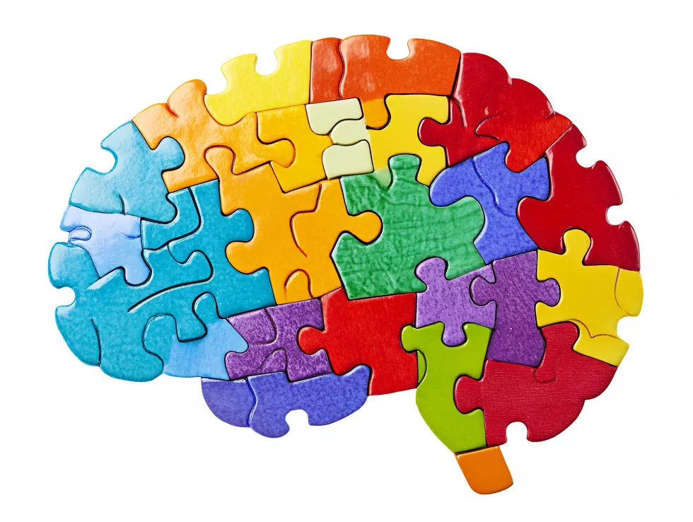 puzzle-brain