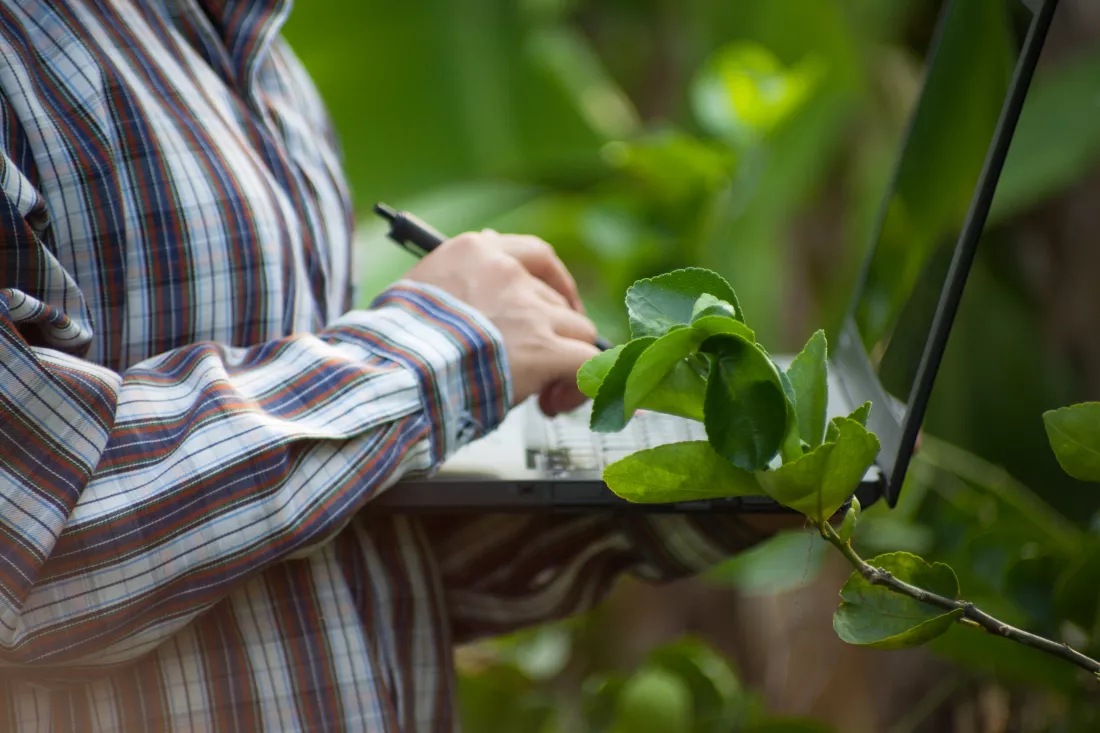 midsection-woman-using-laptop-while-standing-by-plant-outdoors