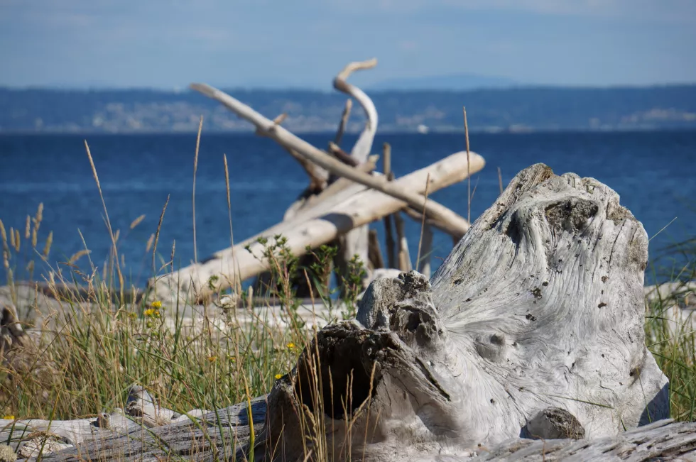 close-up-sea-against-sky