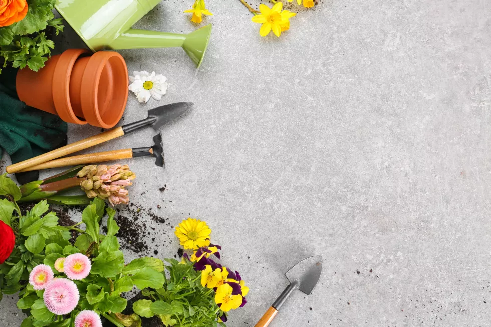 composition-with-flowers-gardening-tools-with-space-text