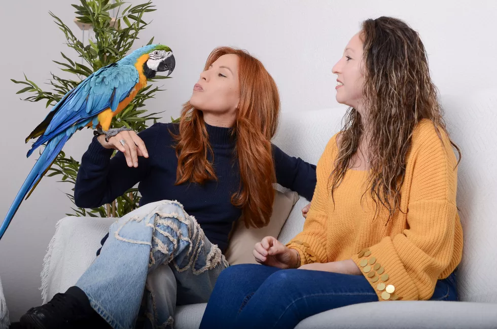 two-friends-training-macaw