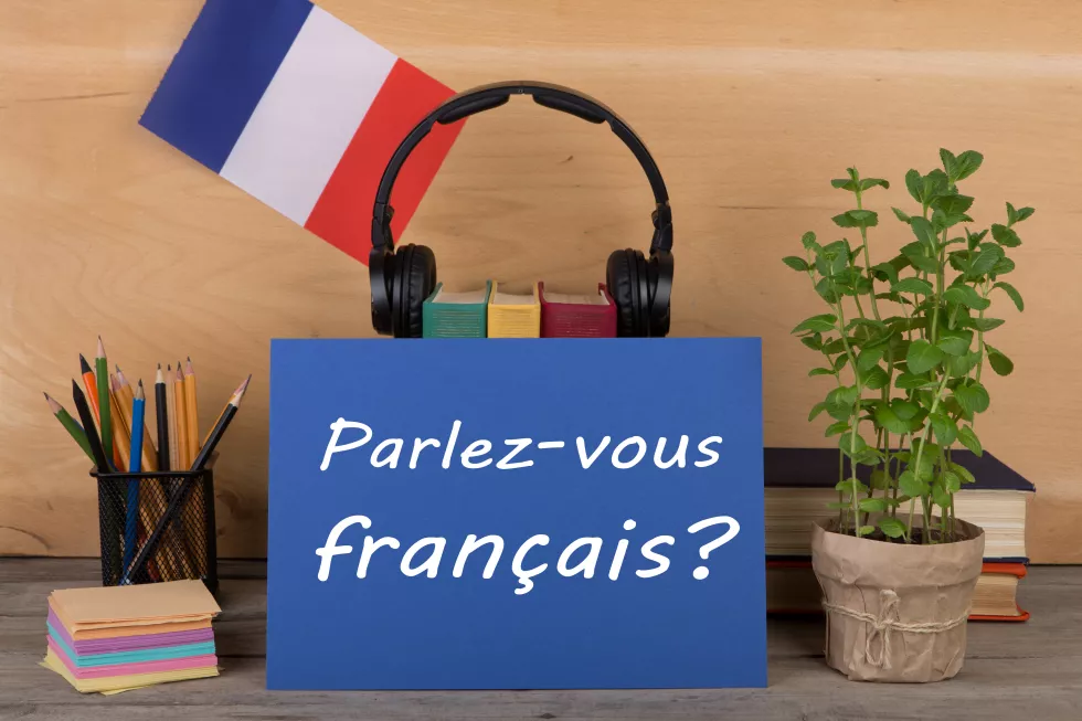 concept-learning-french-language-text-parlezvous-francais-parlez-vous-francais-flag-france