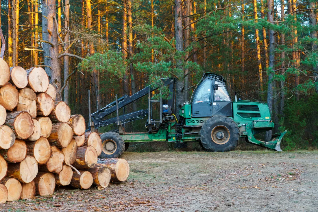 logging-equipment-forest-loading-logs-transportation-harvesting-storage-wood-forest-transportation-freshly-cut-logs-forest-industry