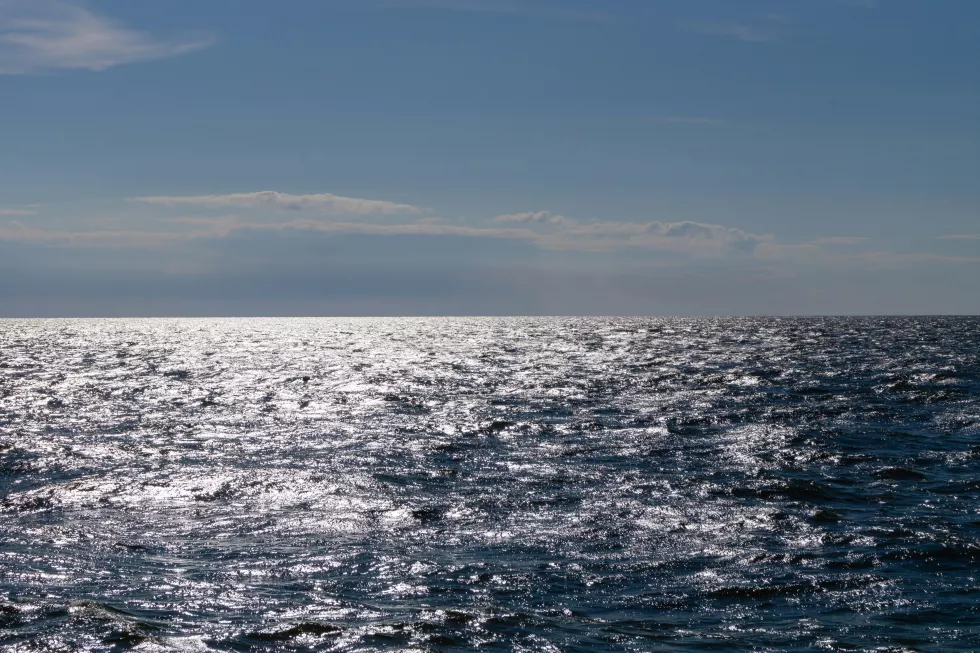 jenna-t-UHfDzOI3Bio-unsplash