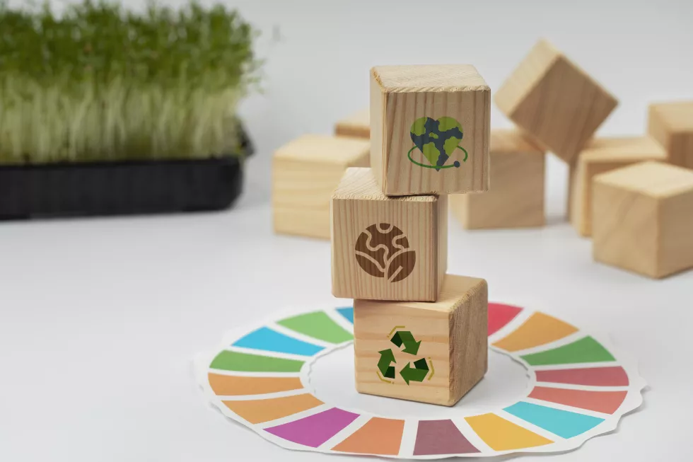 sustainable-development-goals-still-life(1)