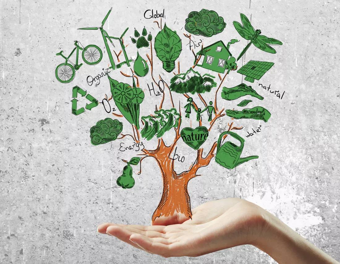 organic-concept
