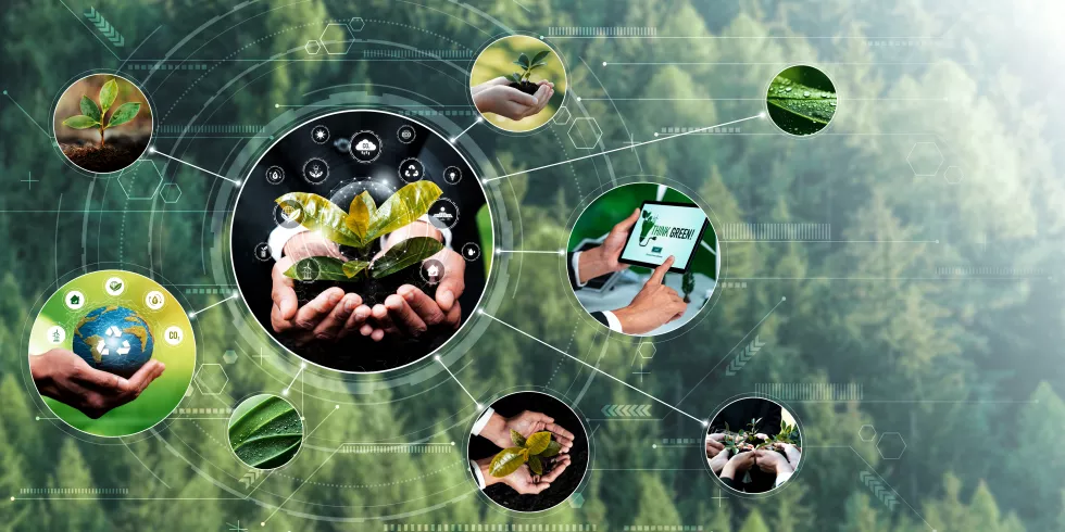 green-business-esg-management-tool-save-world-lca-future-better-day