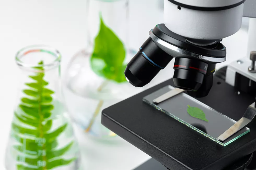 Biotechnology test