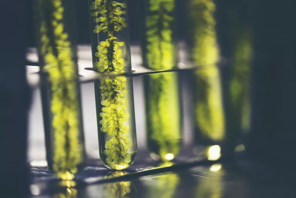 close-up-chemicals-test-tubes-laboratory